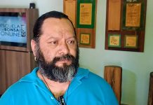 Advierte especialista sobre riesgos de los techos verdes “mal planeados”