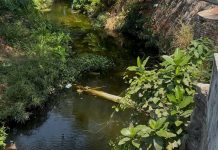 Descargan aguas negras al arroyo San Agustín en Plan de Ayala