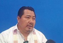 Urge difundir la elección judicial: diputado federal