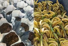 Chiapas encabeza la producción nacional de café y plátano