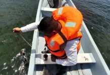 Emite Salud alerta preventiva por posible marea roja en la Bahía de Paredón
