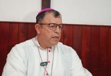 Llama iglesia a frenar la deforestación y a cuidar el agua