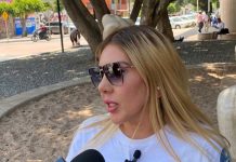 Sin políticas públicas, ley animal será letra muerta: Activistas