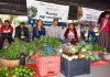 Conanp realiza el 1º Tianguis Agroecológico en el Parque Nacional Lagunas de Montebello