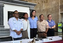 Invitan al 3er. Festival Maya-Jaguar