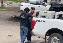 Vecinos señalan hostigamiento del Ayuntamiento a protectora de perrita comunitaria