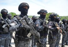 Seguridad y desmemoria