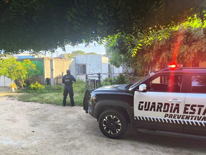 WhatsApp Image 2025-08-07 at 17.50.59