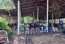 Aseguran casi 900 kilos de metanfetamina