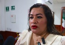 Avanza proceso para designar a la nueva Consejera Presidenta del IEPC: Vila Domínguez