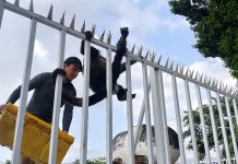 Rescatan a mono saraguato que se quedó atorado en una cerca