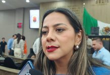 Habrá un Congreso más unido y comprometido con la agenda legislativa: Alejandra Gómez