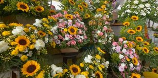 Aumentan un 20 por ciento los precios de flores para los altares y ofrendas