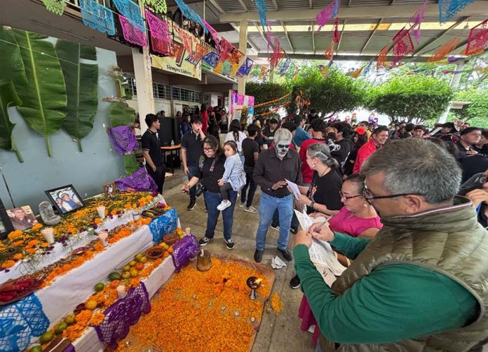 WhatsApp Image 2025-10-30 at 17.37.38