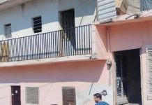 Investigan a mujer señalada por lanzar a un perro desde un balcón en la colonia Las Granjas