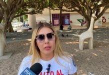 Urge demostrar que hay castigos reales contra el maltrato animal en Chiapas