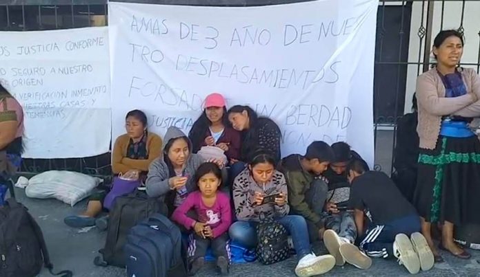 WhatsApp Image 2025-11-04 at 15.25.54