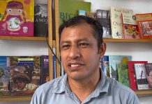 Pequeñas acciones ciudadanas pueden frenar pérdida forestal: Especialista