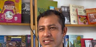 Pequeñas acciones ciudadanas pueden frenar pérdida forestal: Especialista