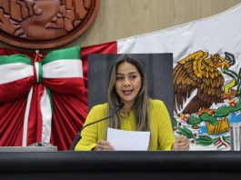 Diputada Alejandra Gómez condena acoso contra la presidenta Claudia Sheinbaum