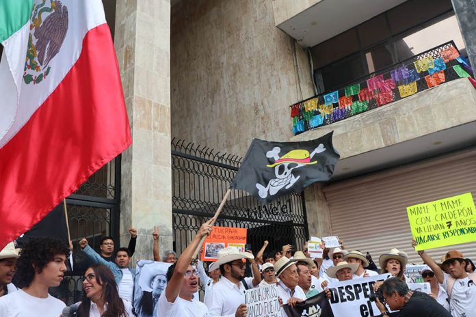 WhatsApp Image 2025-11-16 at 18.54.59