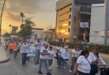 Marchan en Tuxtla para que se apliquen sanciones al maltrato animal