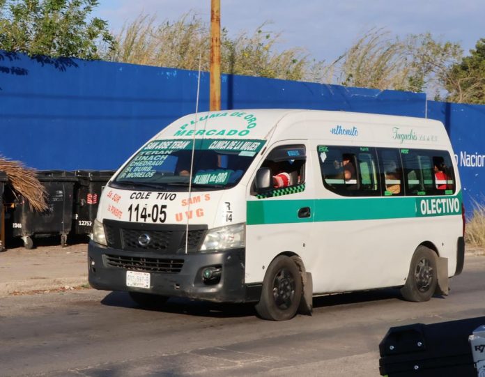 WhatsApp Image 2025-11-30 at 16.36.27