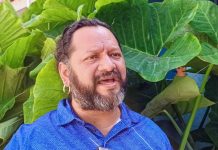 Alertan el impacto ambiental por extracción de bromelias en la zonas altos