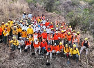 Impulsa Secretaría de Protección Civil Chiapas estrategia para la prevención de incendios forestales