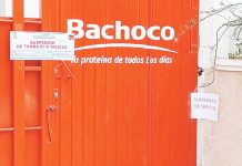 Clausura temporal de granjas y distribuidoras de pollos en Ocosingo