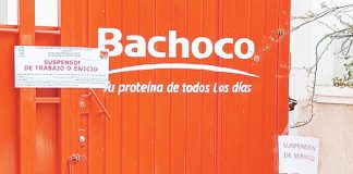 Clausura temporal de granjas y distribuidoras de pollos en Ocosingo