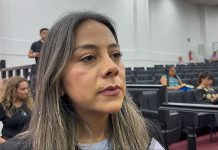 Se busca en México estandarizar el tratamiento de los feminicidios: Alejandra Gómez