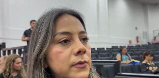 Se busca en México estandarizar el tratamiento de los feminicidios: Alejandra Gómez