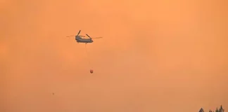 Incendios en Europa dejan muertos y miles de hectáreas quemadas en Bélgica, Grecia y España