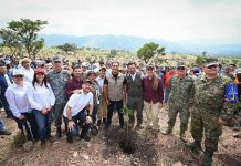 Con más de un millón de árboles, Chiapas se suma a la Jornada Nacional de Reforestación impulsada por Claudia Sheinbaum