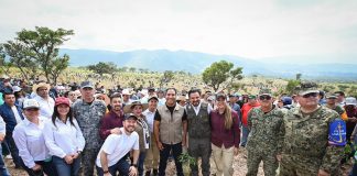 Con más de un millón de árboles, Chiapas se suma a la Jornada Nacional de Reforestación impulsada por Claudia Sheinbaum