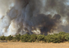 Nueva oleada de incendios forestales en Europa deja miles de evacuados y un muerto