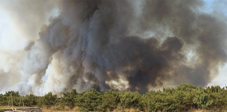 Nueva oleada de incendios forestales en Europa deja miles de evacuados y un muerto