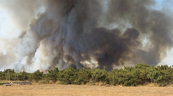 2 INCENDIOS EUROPA