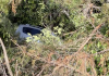Conductor pierde el control y cae a barranco de 10 metros en Comitán