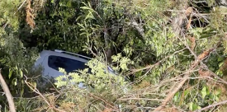 Conductor pierde el control y cae a barranco de 10 metros en Comitán