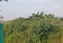 ¡Macabro hallazgo! Localizan cráneo humano en localidad de Suchiate