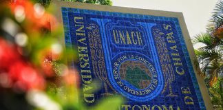 Alcanzará UNACH cifra histórica de académicos dentro del Sistema Nacional de Investigadoras e Investigadores