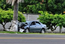 Jetta termina destrozado tras chocar contra palmera en la carretera a Puerto Madero