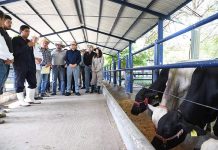 Fortalece UNACH la formación veterinaria y el mejoramiento genético del hato ganadero de Chiapas