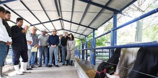 Fortalece UNACH la formación veterinaria y el mejoramiento genético del hato ganadero de Chiapas