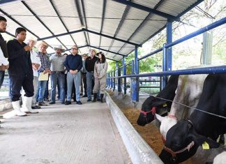 Fortalece UNACH la formación veterinaria y el mejoramiento genético del hato ganadero de Chiapas