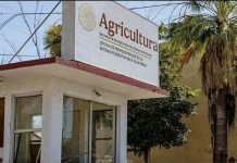 Alerta Agricultura por fraude mediante falsos oficios de patrocinio
