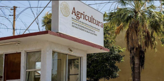 Alerta Agricultura por fraude mediante falsos oficios de patrocinio