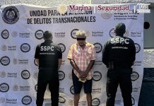 Decomisan cinco inmuebles y 135 animales exóticos en Tamaulipas